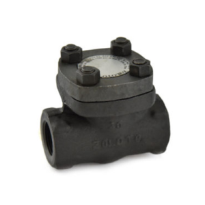 1076A Forged Steel Horizontal Lift Check Valve, Class-800 (Full Bore)